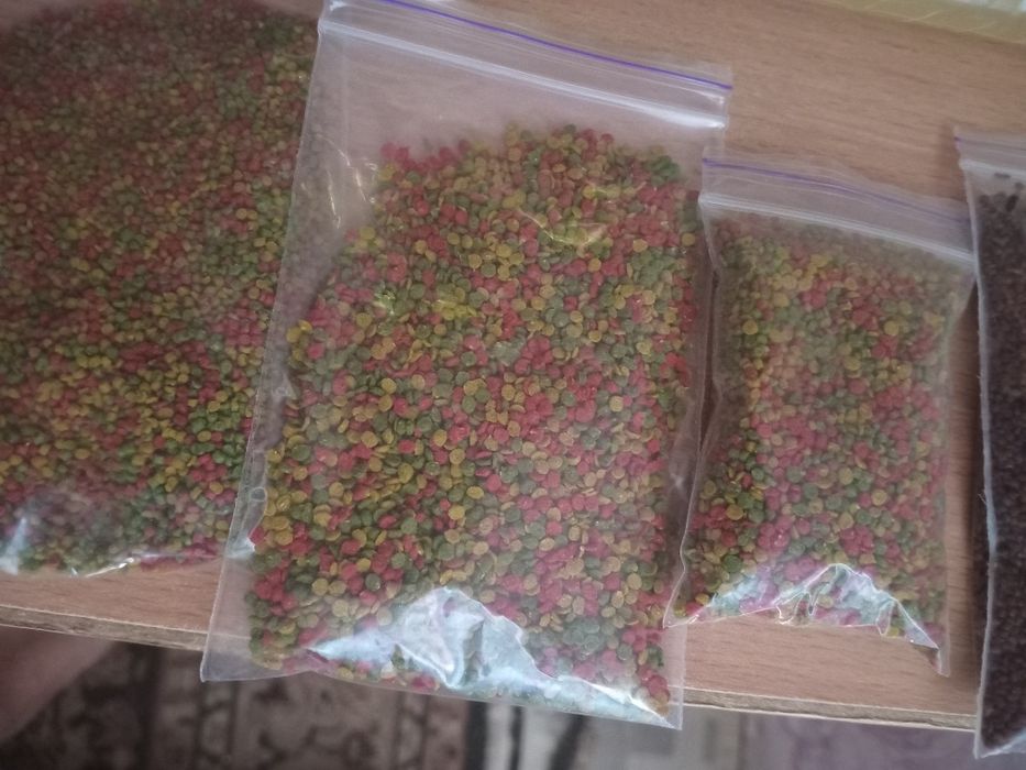 Ком дя всі видів риб