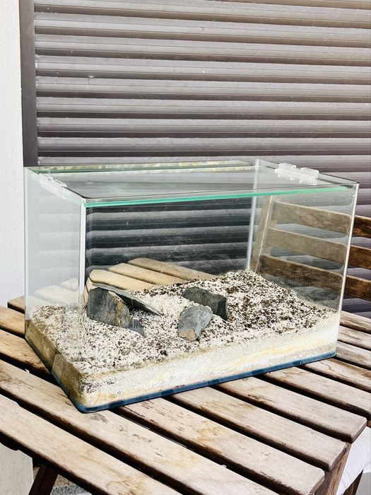 Aquário / Terrário 22L (40x22x25cm)