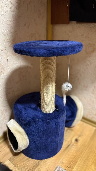 Доступ для котів