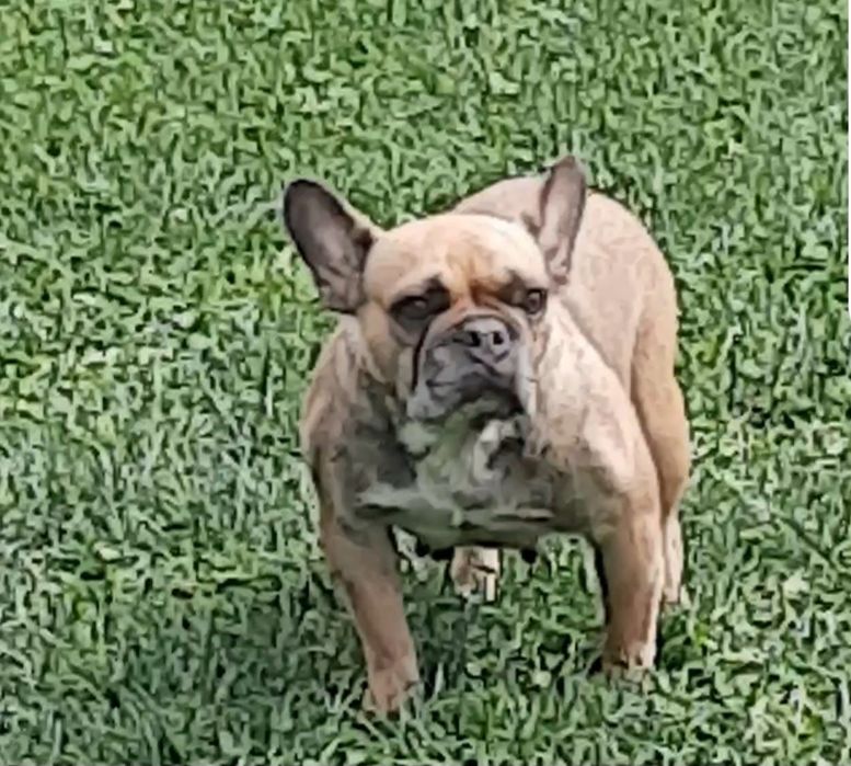 Взрослые девочки.