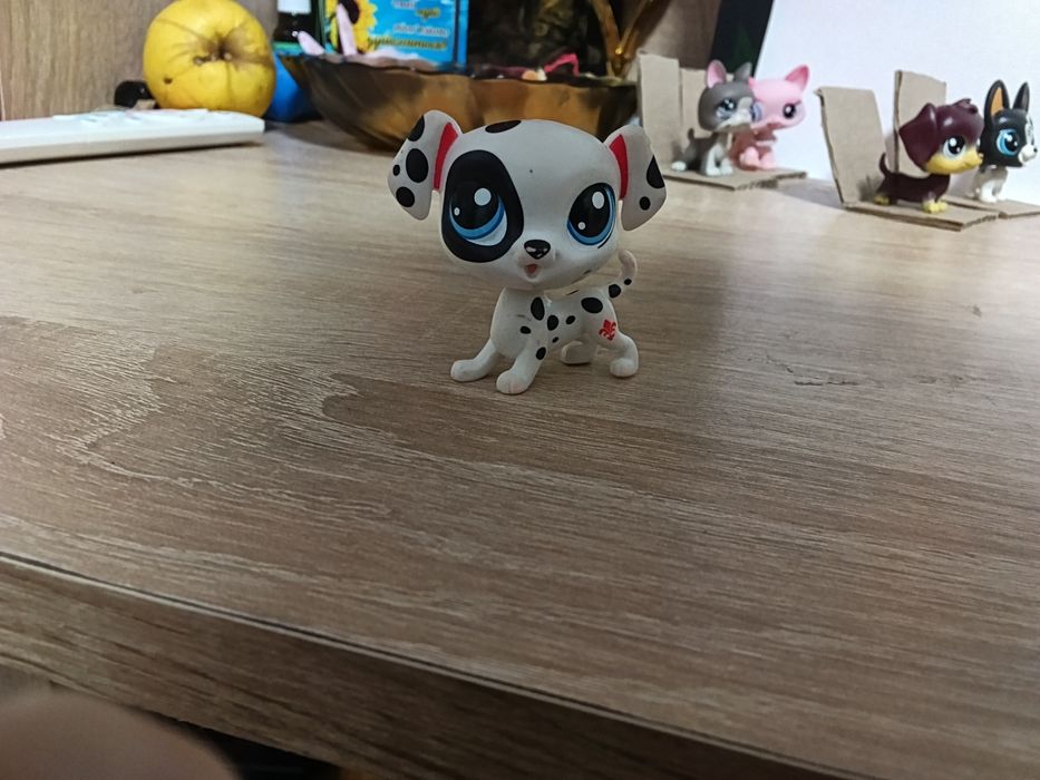 Lps далматинець лпс