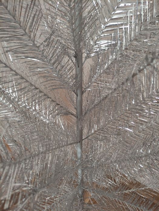 Ялинка срібляста СССР