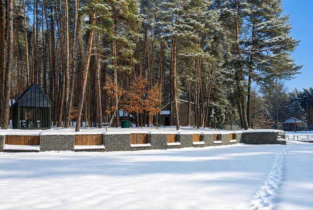 База відпочинку у сосновому лісі 50км від Львова