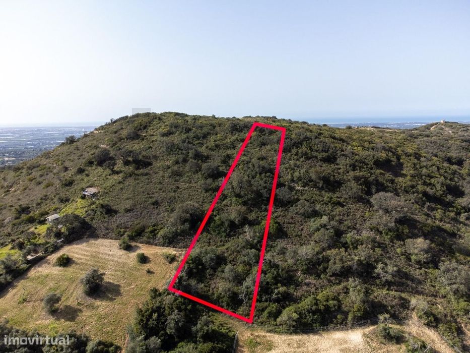 Terreno Rústico, Gorjões, Santa Bárbara de Nexe