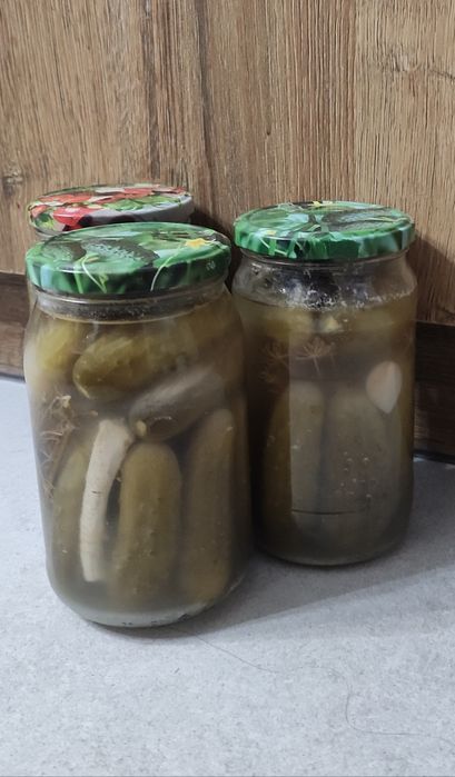 Ogórki kiszone ekologiczne