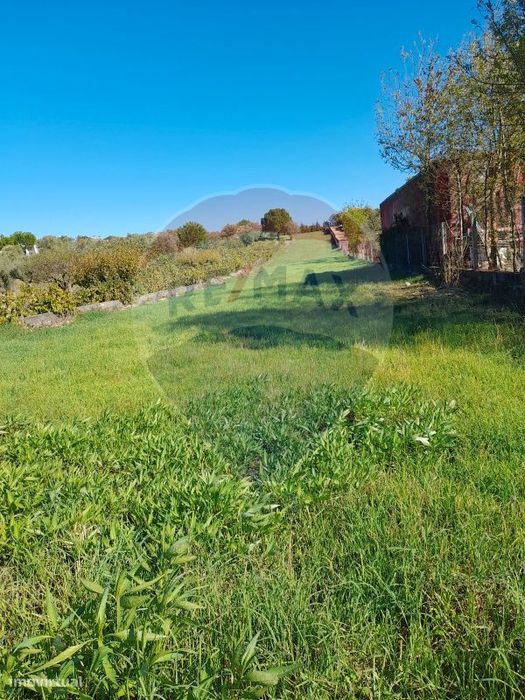 Terreno  para venda — Riachos, Santarém