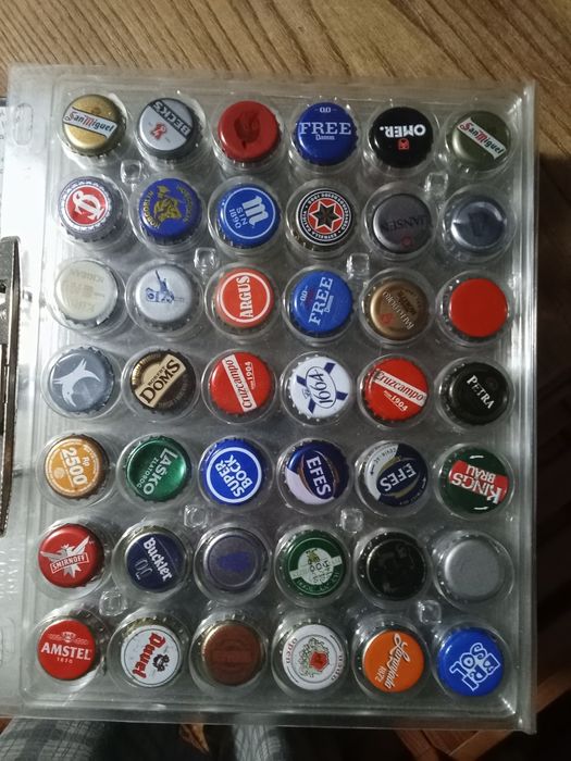 Lote de diversas sameiras