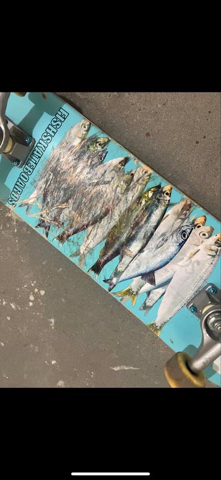 Deskorolka fish skateboards