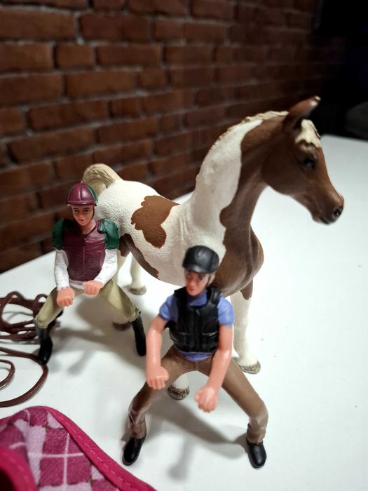 Kolekcja koni schleich