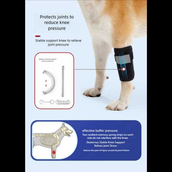 Защитный бандаж/наколенник для передней лапы собаки – Размер L (1 шт.)