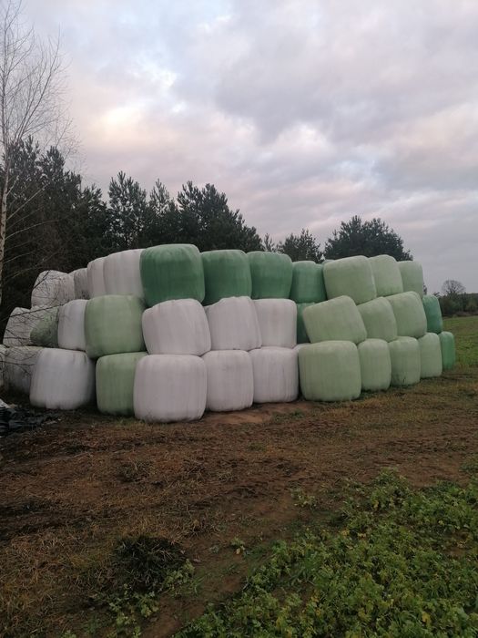 Sprzedam bele sianokiszonki