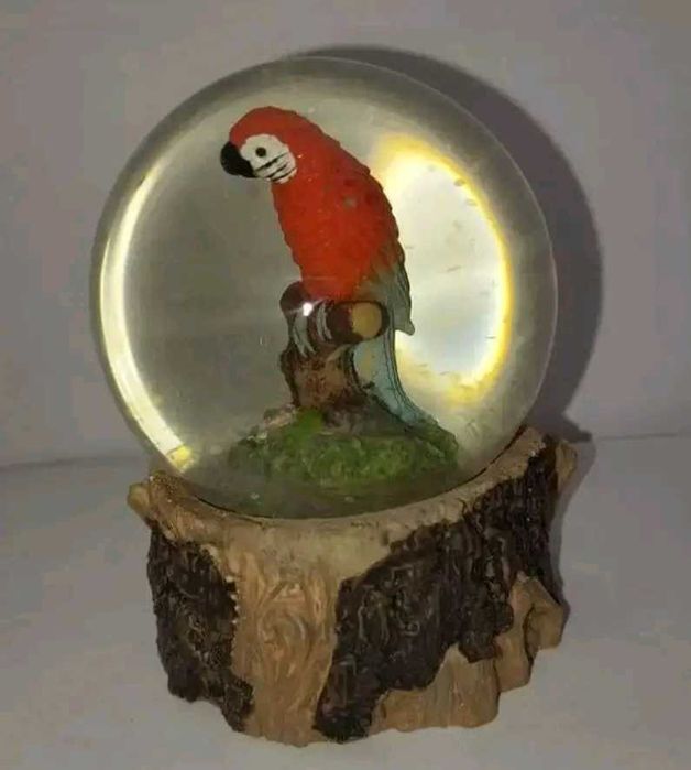 Kula śnieżna z papugami