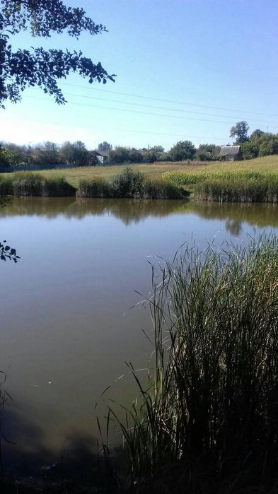 Земельна ділянка