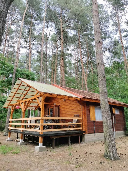 Wynajem domku letniskowego