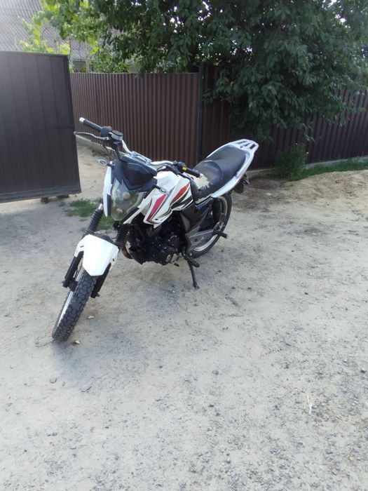 продам мустанг регіон 200