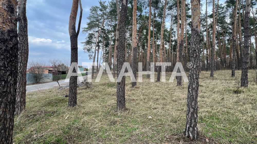 House by the address (area 288 m²) - Atlanta.ua - photo 13