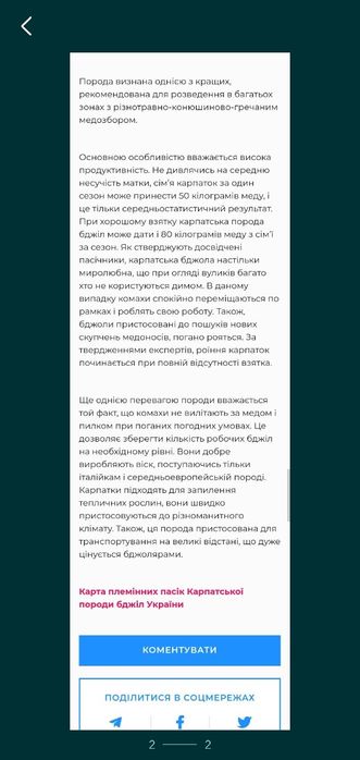 Вулик з пчолами. Карпатка