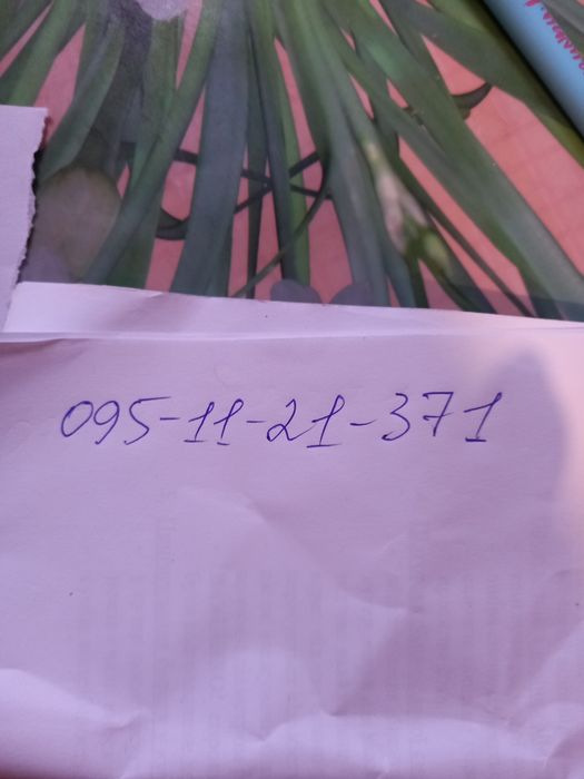 Помогите найти собаку