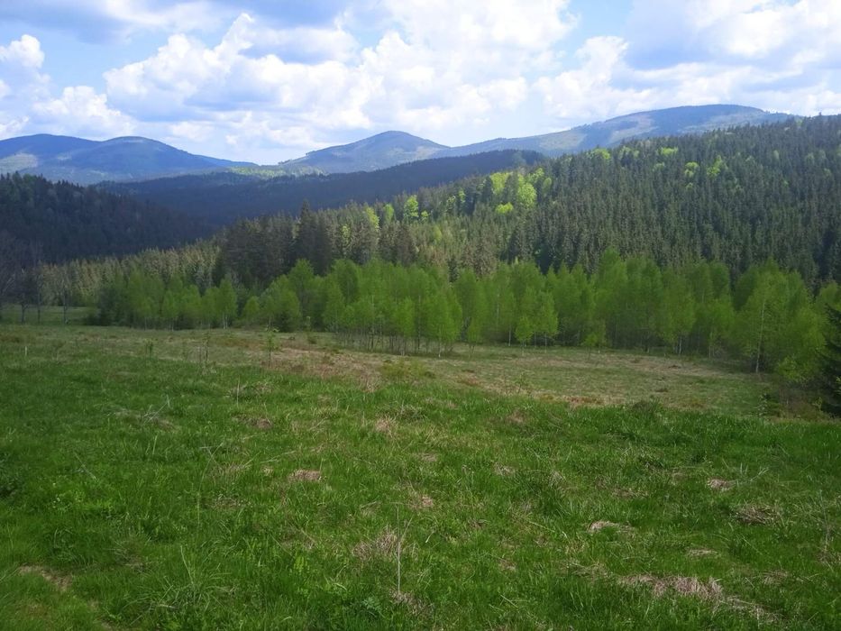 Продаж земельної ділянки під забудову с Вишків