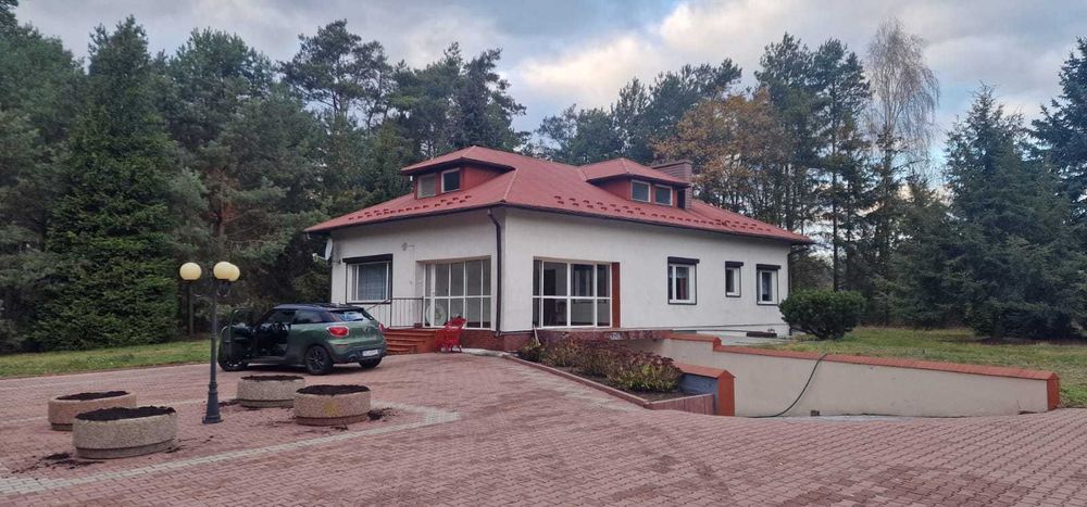 dom do wynajęcia