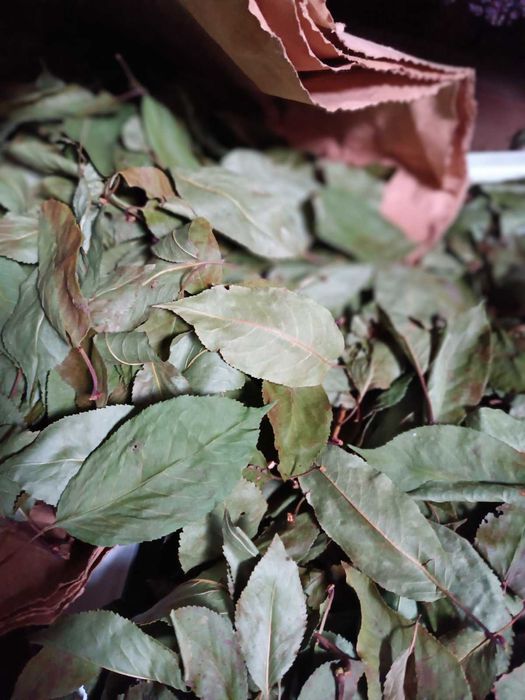 Лист вишні сушений