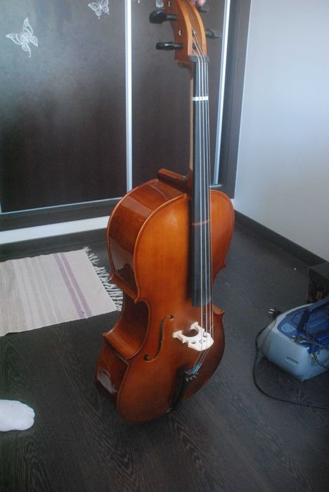 Violoncelo 1/2 Iniciante