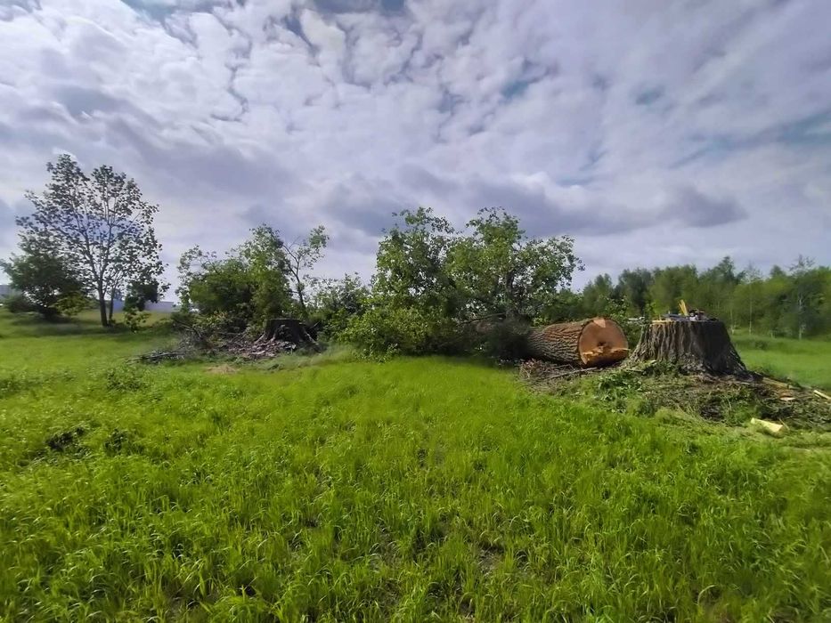 Wycinka drzew/zakładanie ogrodów/prace pielęgnacyjne