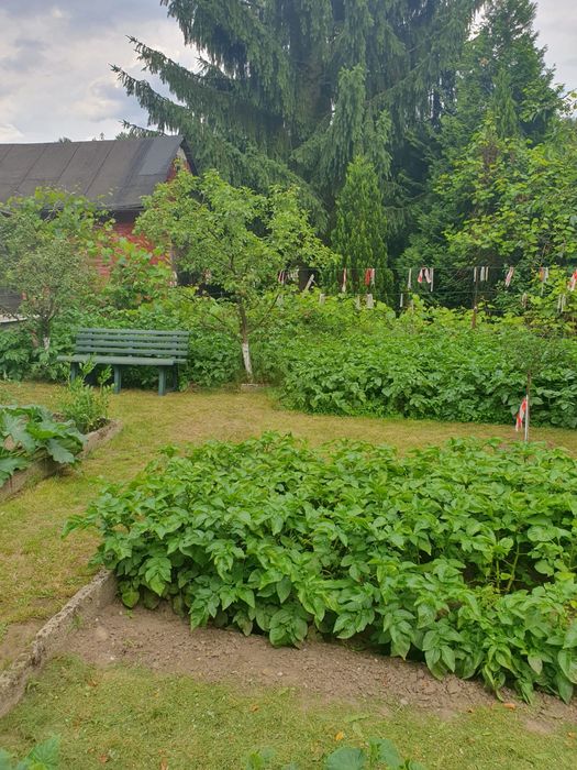 Dzialka ogrodowa z altanką ogrodzona Jedrzychow  600m2