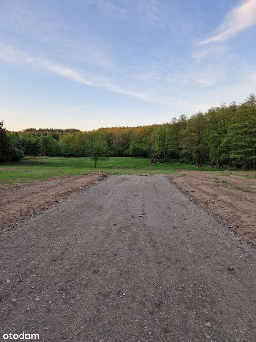 Działka budowlana z warunkami zabudowy 15025m2 w puszczy. "Kamińsko"