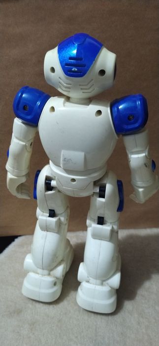 Electronic robot without remote control454886423035258882