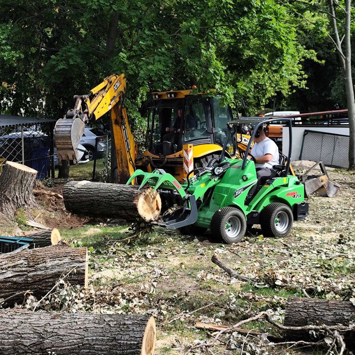 Wycinka pielęgnacja drzew, wycinanie, przycinanie, czyszczenie działek