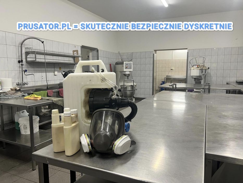 DEZYNSEKCJA i DERATYZACJA – zwalczamy pluskwy, prusaki, szczury, myszy