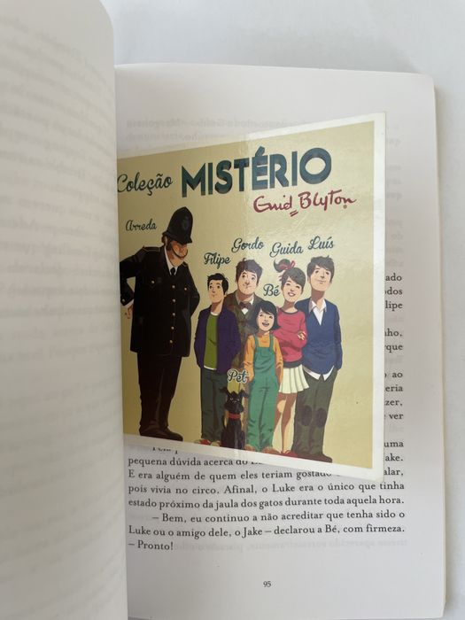 O mistério da gata desaparecida - livro