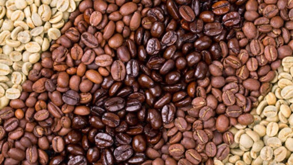 Café Arabica e Robusta