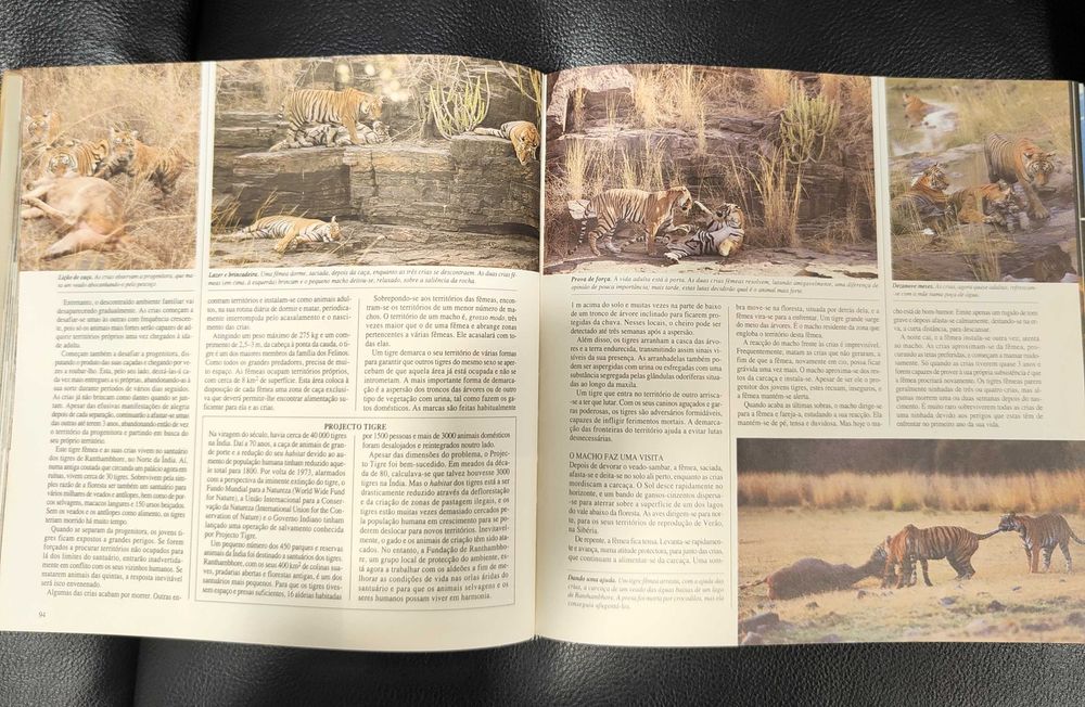 O Mundo Maravilhoso dos Animais Selvagens