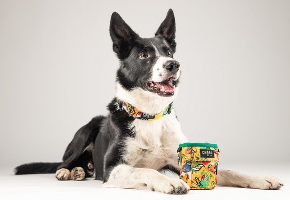 Saszetka z kieszonkami na smakołyki i woreczki dla psa Jumbo 13x10cm