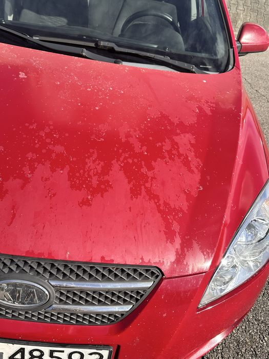 Samochod Kia ceed