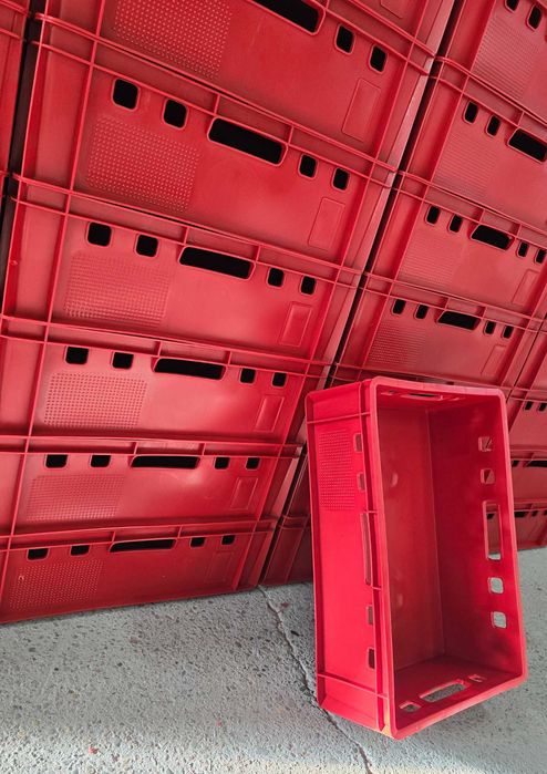 Pojemnik E2 czerwony