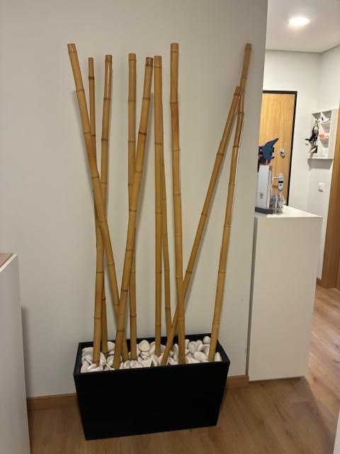 Vaso para exterior Bambu