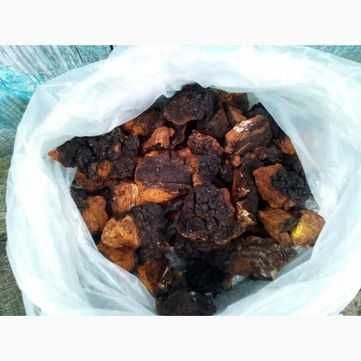 Чага березова, сушена (Гриб)