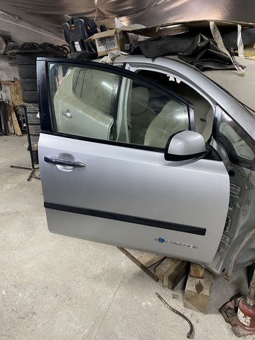 Двері Nissan Leaf