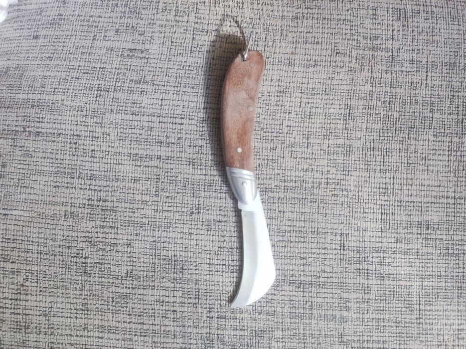 Navalha enchertia ( poda)