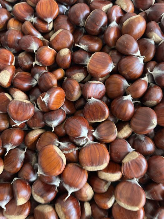 Excelentes castanhas