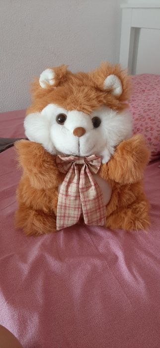 Medium-sized plush teddy bears426020468100311042