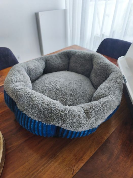 Cama e caixa de areia para gatos
