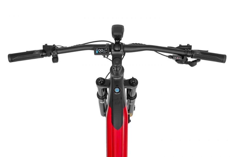 Rower elektryczny Ecobike RX 500