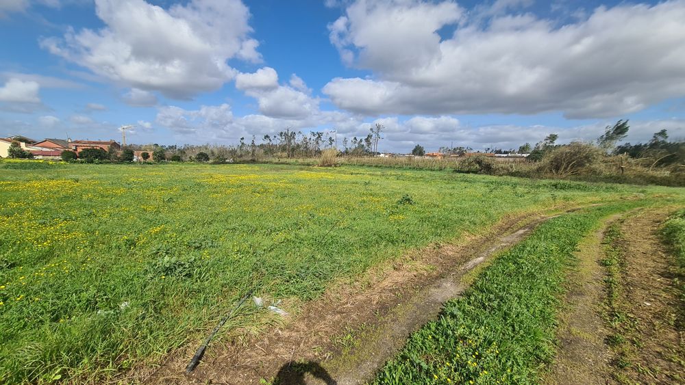 Terreno 7.000m² p/ Construção – Bouça de Cá, Bajouca | Índice 0.5