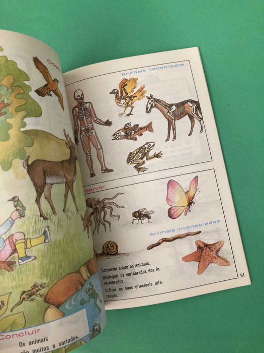 Livro Escola Primária Por Caminhos não andados Meio Físico e Social 2ª Classe Porto Editora