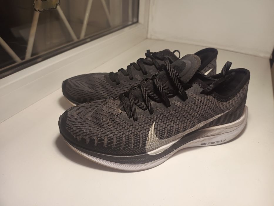 Nike Pegasus Turbo 2