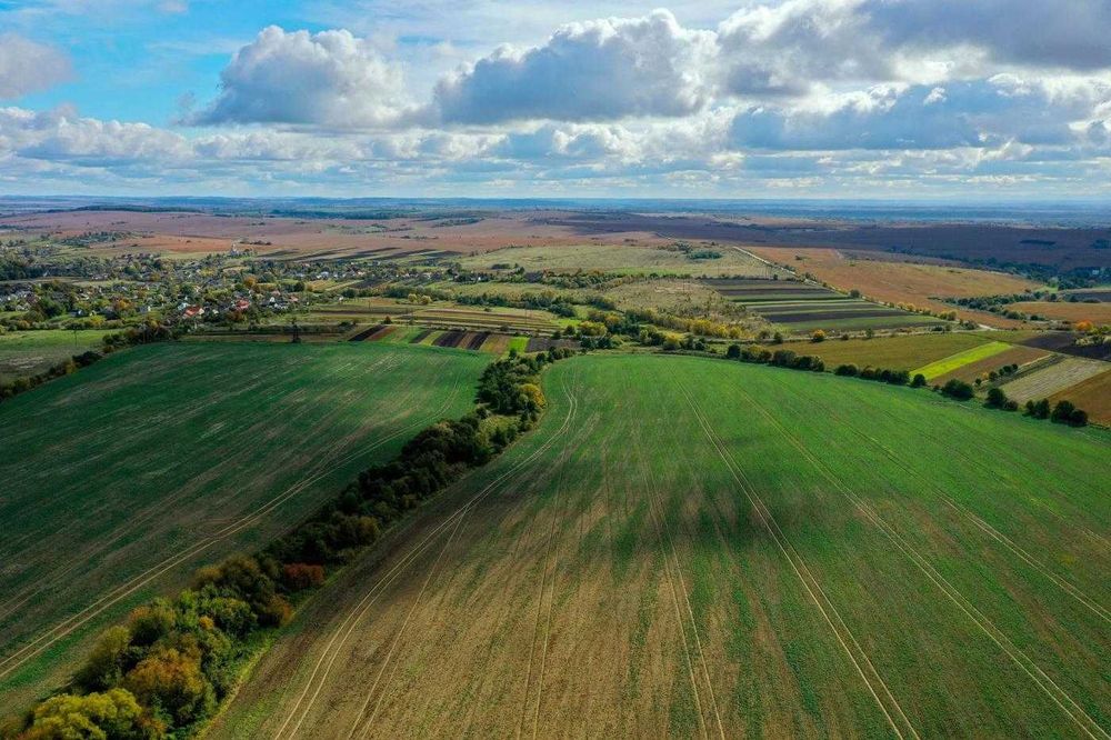 земля/Товарне виробництво/Новий розділ / Львівська область